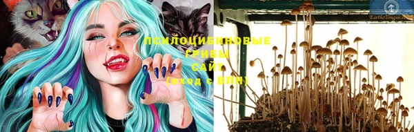 круглые Алзамай