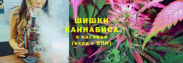 PSILOCYBIN Алексин