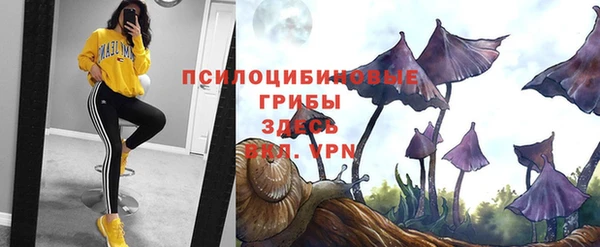 СК Алексеевка