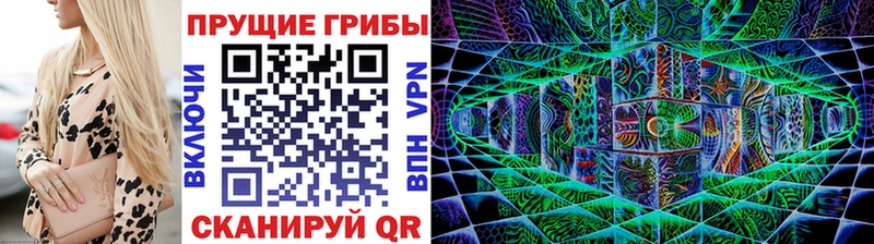 Псилоцибиновые грибы мицелий  Шацк 